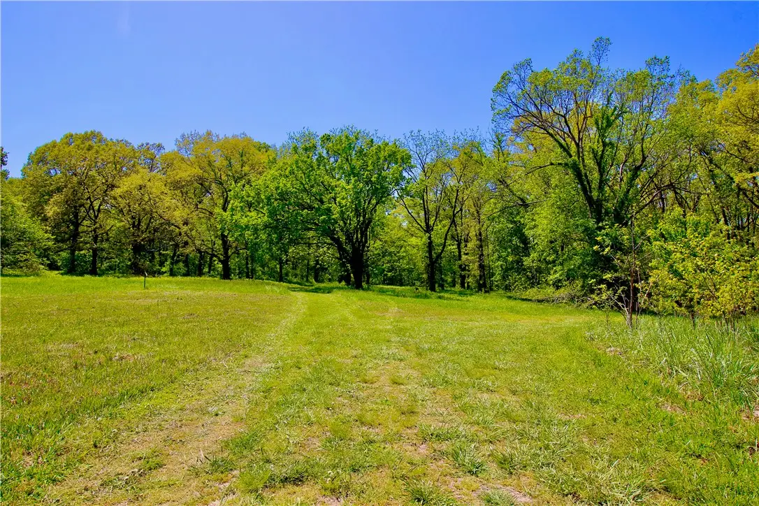 Us-62 Spur Road, Berryville, AR 72616 - #1