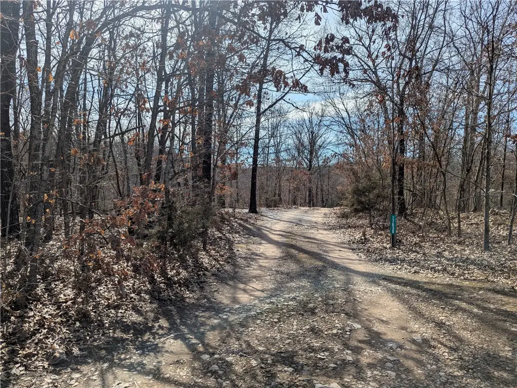 Bill Billings Road, Garfield, AR 72732 - #1