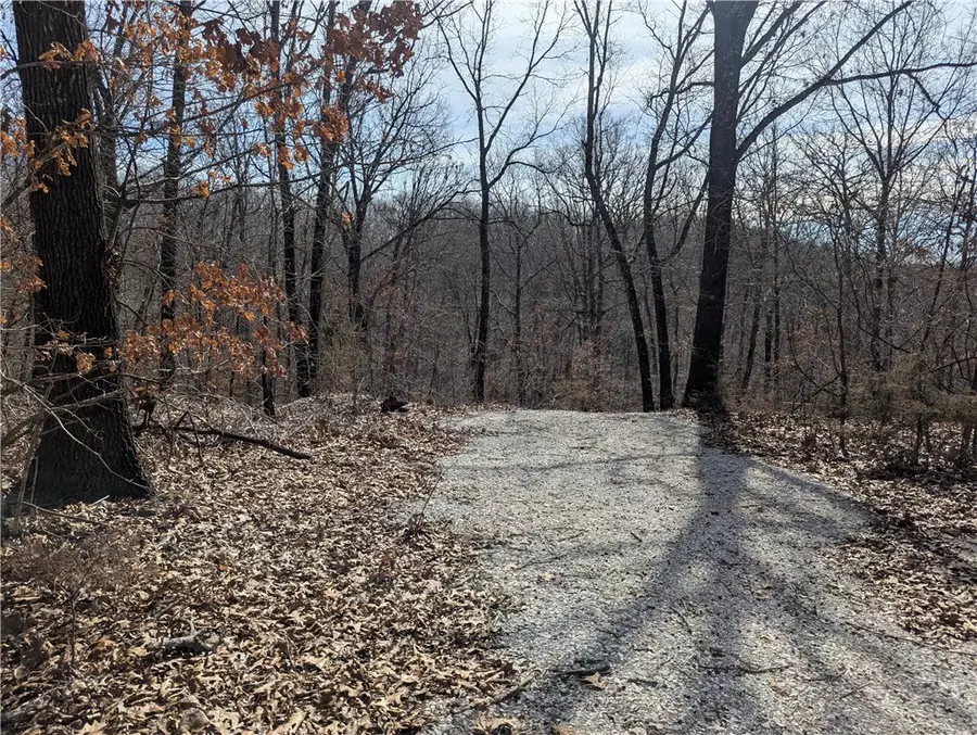 Bill Billings Road, Garfield, AR 72732 - #2