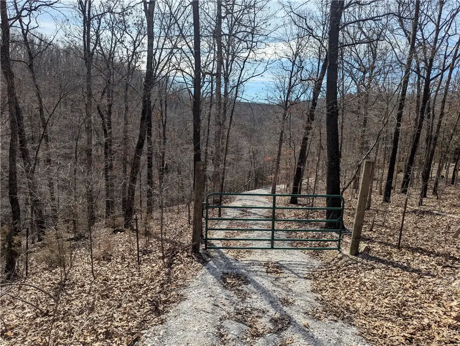 Bill Billings Road, Garfield, AR 72732 - #3