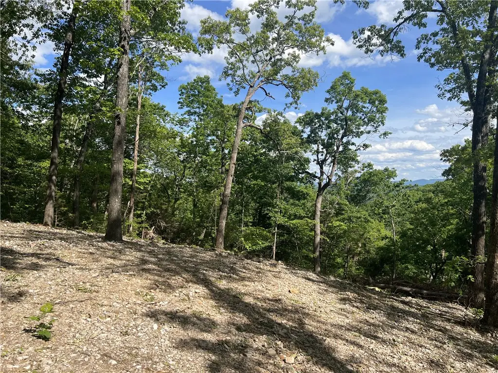 Nc 2909, Marble Falls, AR 72648 - #1