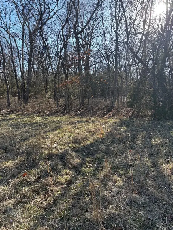 22AC Gann Ridge Road, Garfield, AR 72732