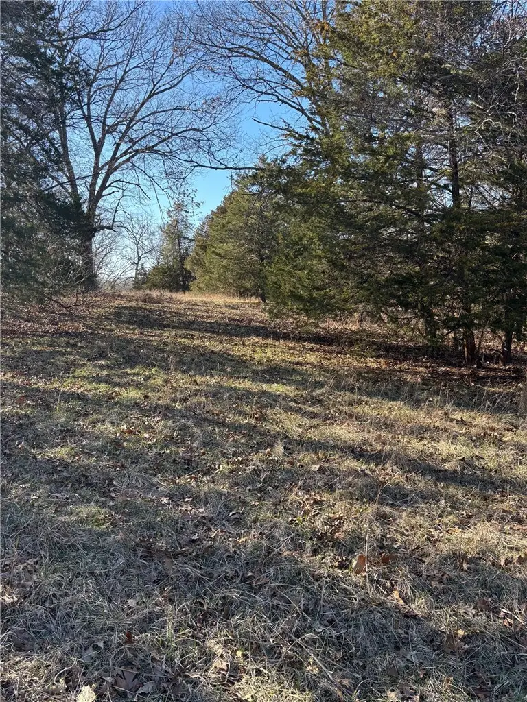 22AC Gann Ridge Road, Garfield, AR 72732 - #2