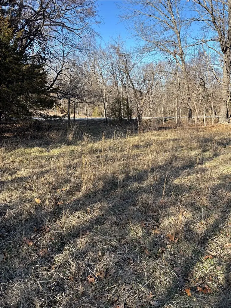 22AC Gann Ridge Road, Garfield, AR 72732 - #3
