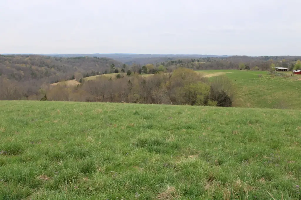 416 New Hope Road, Marshall, AR 72650 - #1
