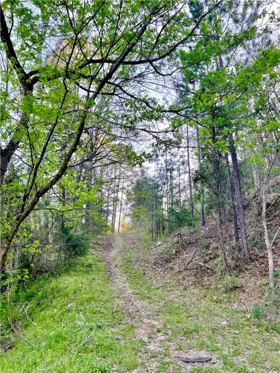 925-00041-000 Tbd Breezy Point, Eureka Springs, AR 72632