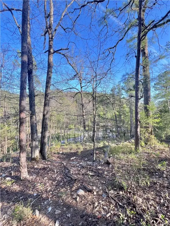925-00041-000 Tbd Breezy Point, Eureka Springs, AR 72632 - #2