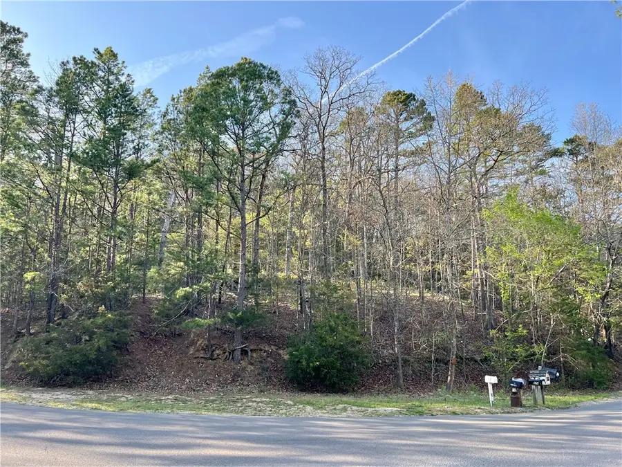 925-00041-000 Tbd Breezy Point, Eureka Springs, AR 72632 - #3