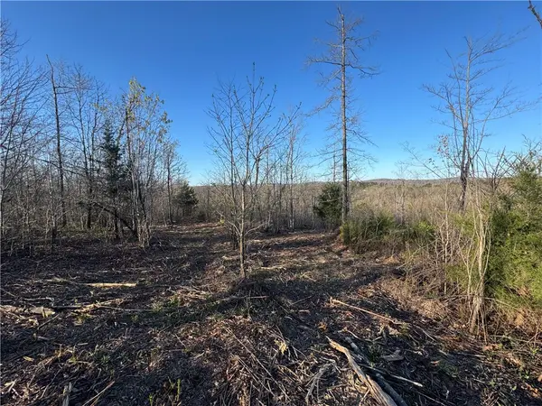 Tract 1 Nc 8374 Road, Jasper, AR 72641