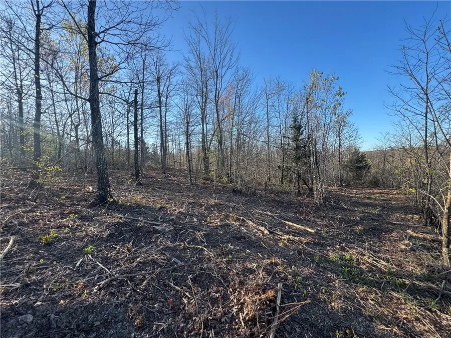 Tract 1 Nc 8374 Road, Jasper, AR 72641 - #3