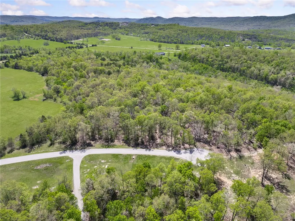 White River Valley, Mountain Home, AR 72653 - #1