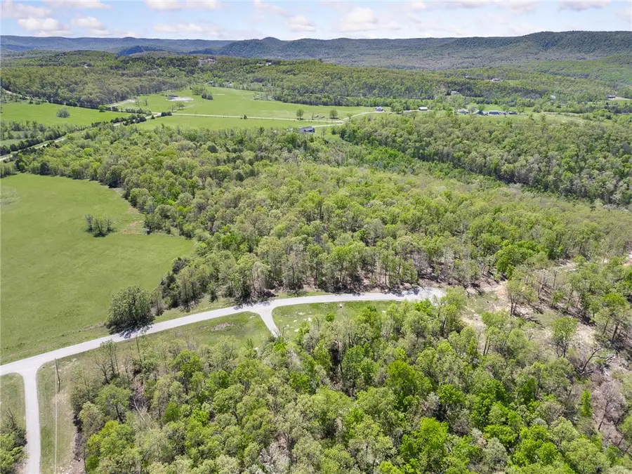 White River Valley, Mountain Home, AR 72653 - #2