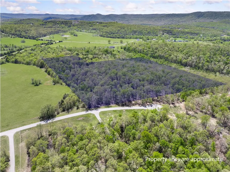 White River Valley, Mountain Home, AR 72653 - #3