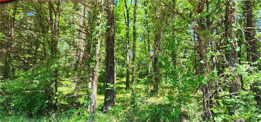 TBD S Frankfort Avenue #Lot 25, Russellville, AR 72802 - #2