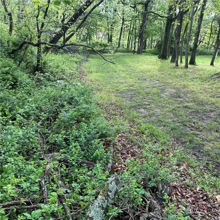 Arabian Drive, Rogers, AR 72756 - #3