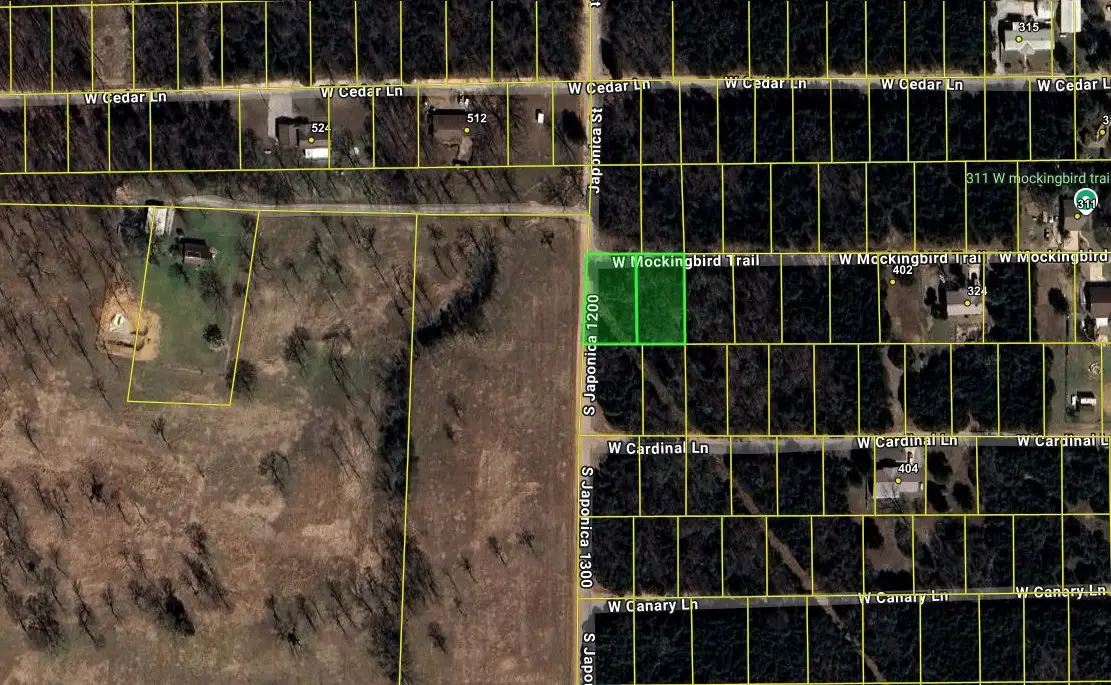Mockingbird Trail, Diamond City, AR 72644 - #1
