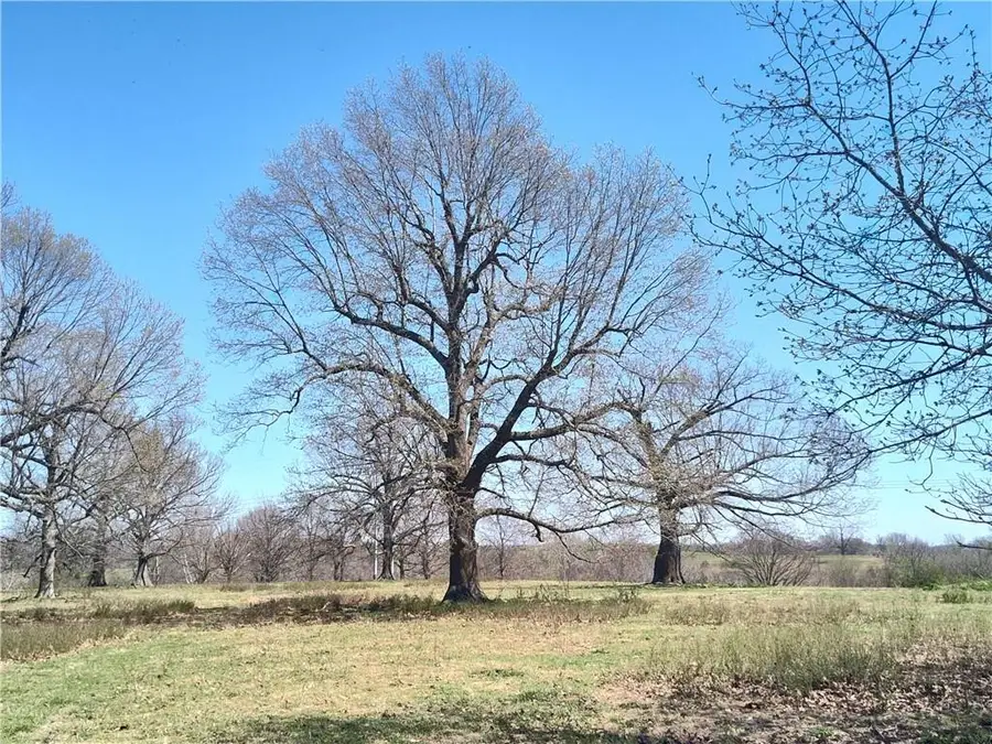 Hewitt Springs Road, Springdale, AR 72764 - #2