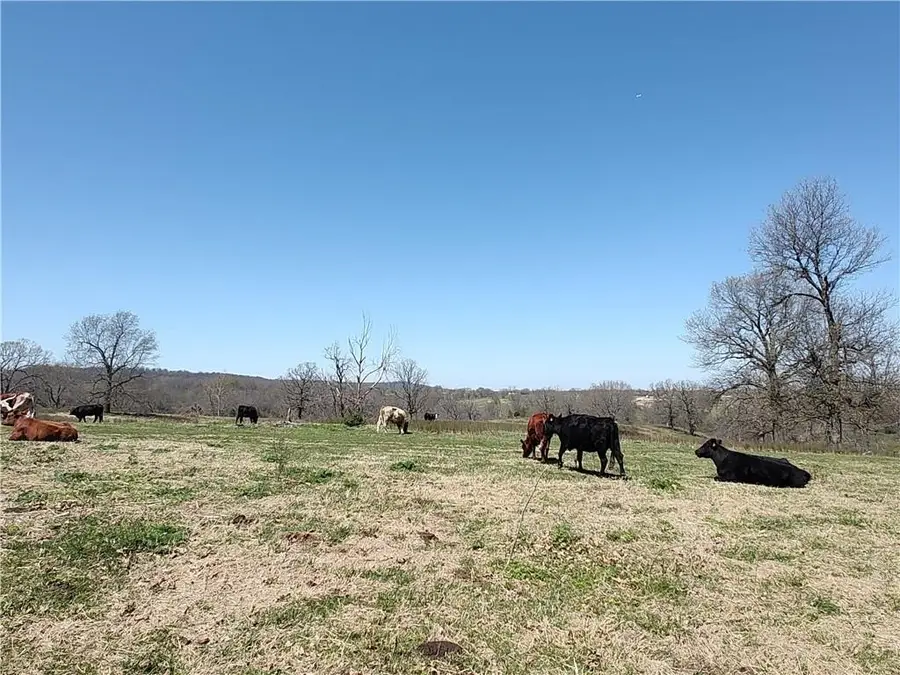 Hewitt Springs Road, Springdale, AR 72764 - #3