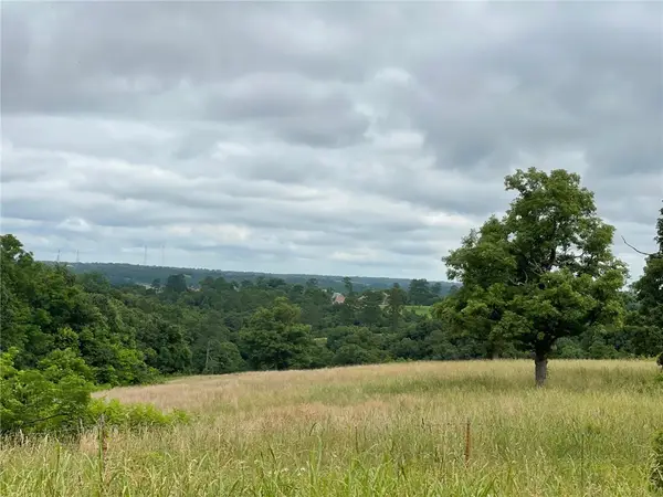 16.7 AC Turkey Ridge Court, Pineville, MO 64854