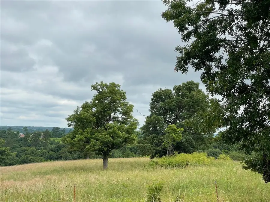 16.7 AC Turkey Ridge Court, Pineville South, MO 64854 - #2