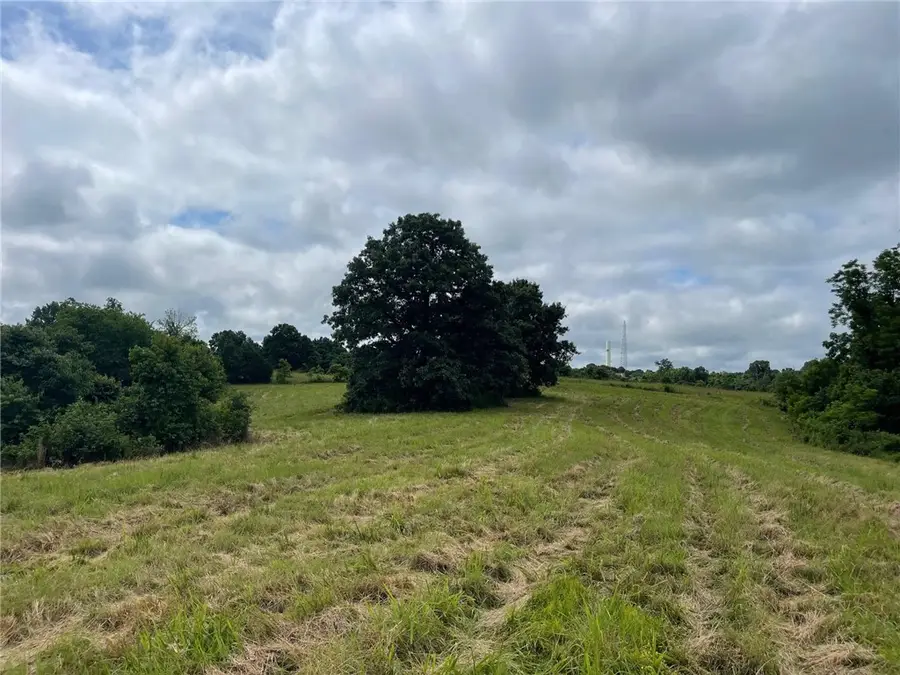 16.7 AC Turkey Ridge Court, Pineville South, MO 64854 - #3