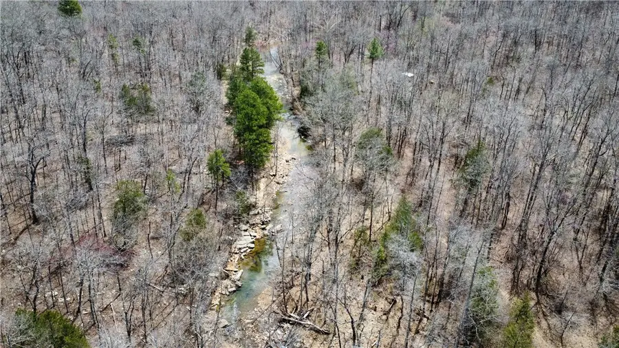 Holly Mountain Road, Clinton, AR 72031 - #2