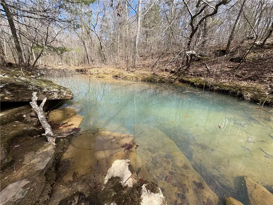 Holly Mountain Road, Clinton, AR 72031 - #3