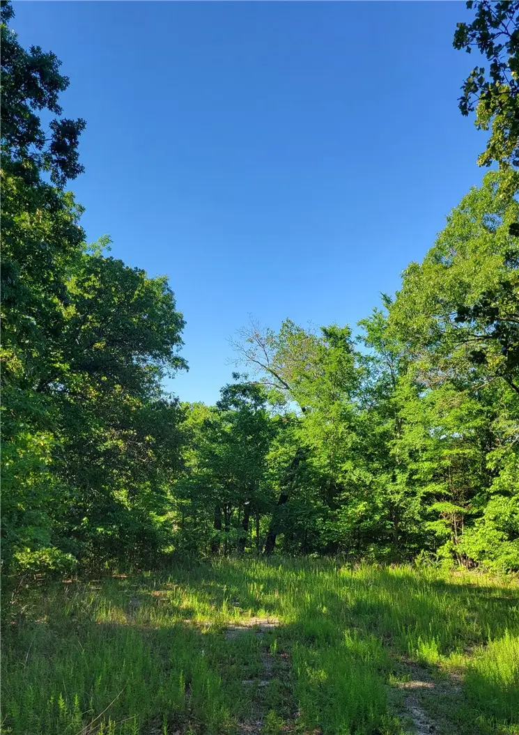 8 Petworth Lane, Bella Vista, AR 72714 - #3
