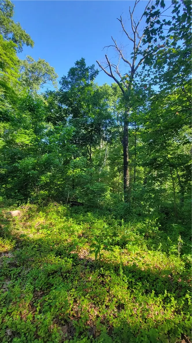 Wolverton Lane, Bella Vista, AR 72714 - #2