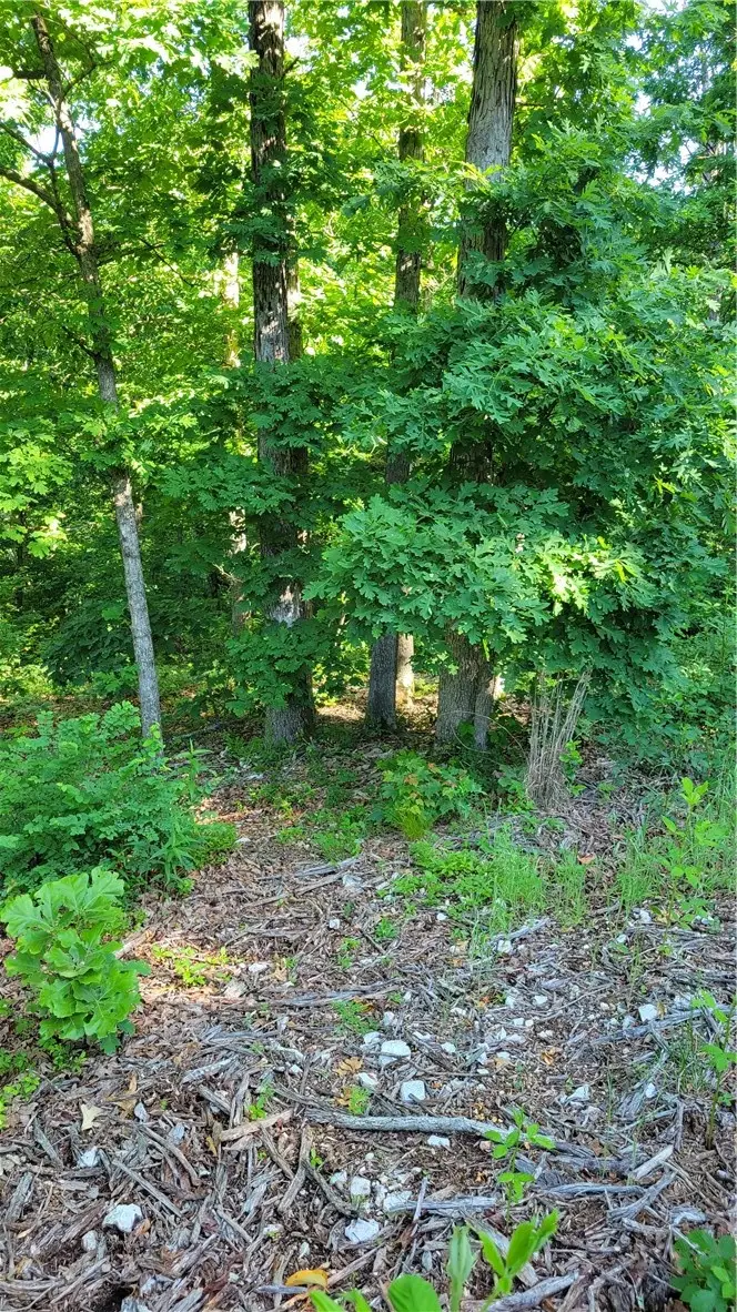 Wolverton Lane, Bella Vista, AR 72714 - #3