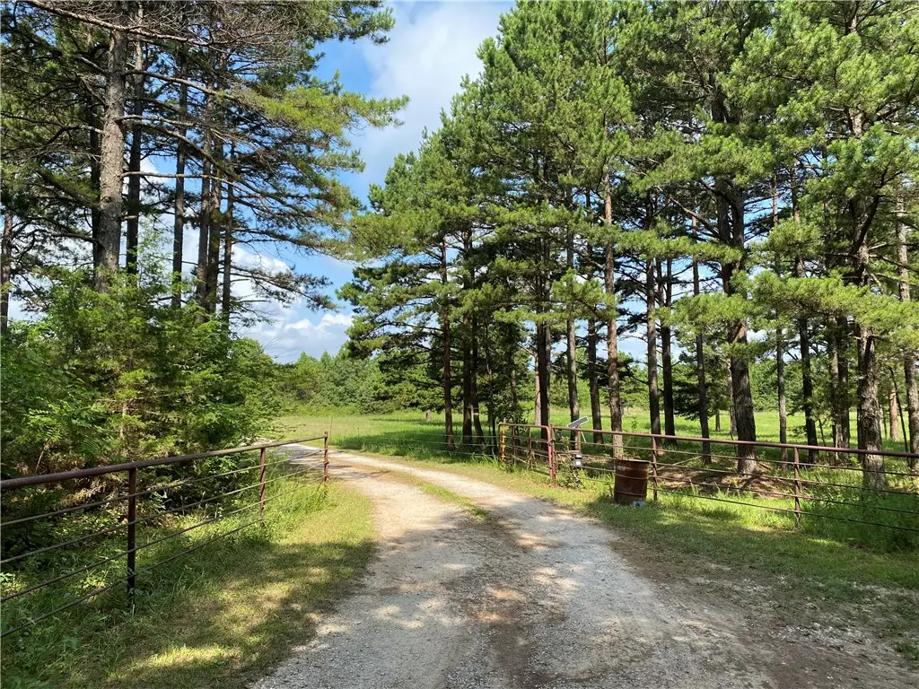 3309 Nc 421, Marble Falls, AR 72648 - #1