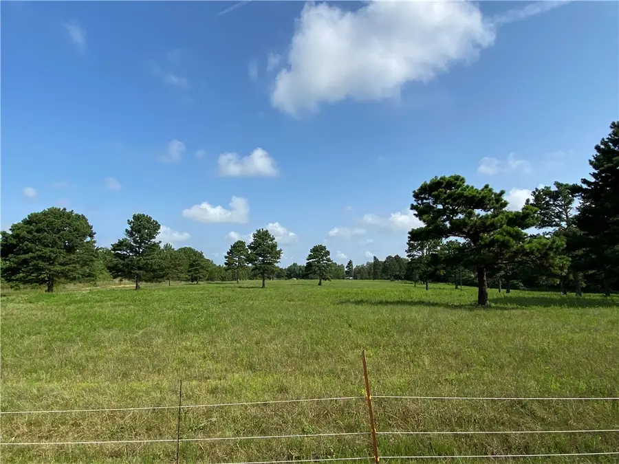 3309 Nc 421, Marble Falls, AR 72648 - #2