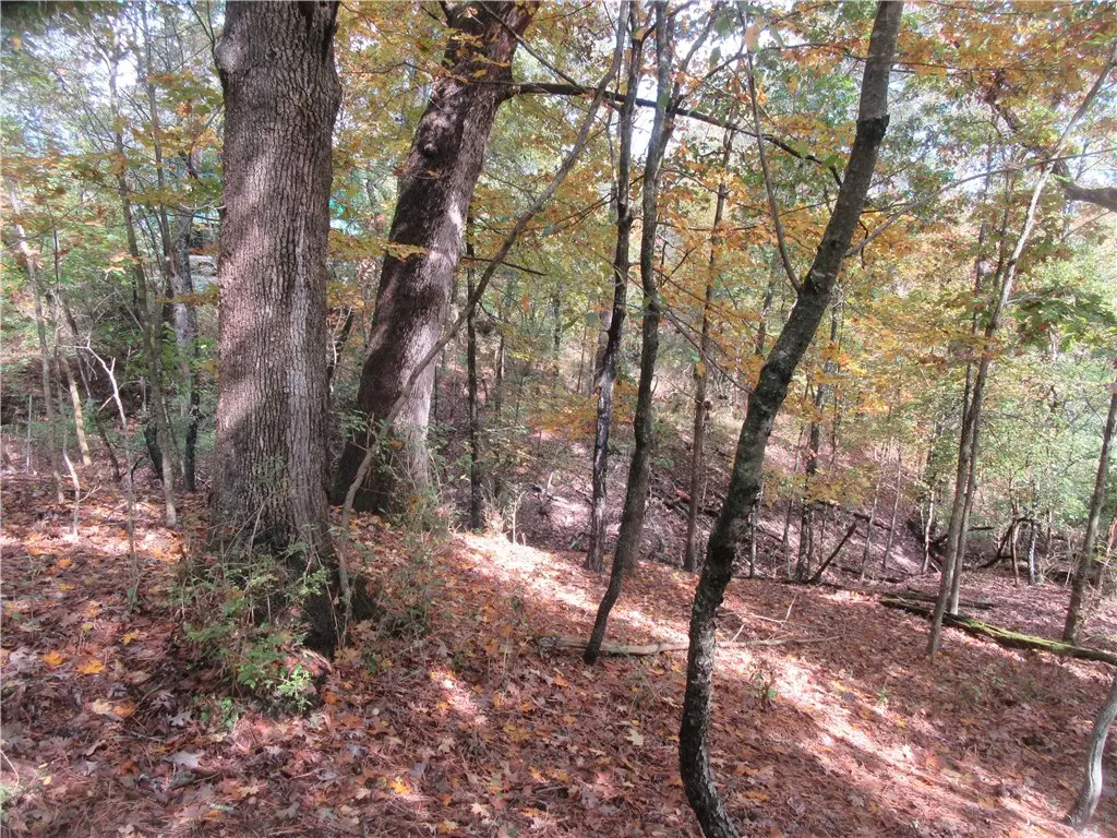 Paxos Street, Eureka Springs, AR 72632 - #1
