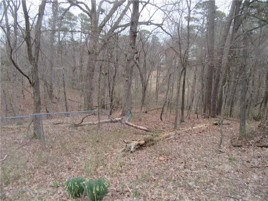 Paxos Street, Eureka Springs, AR 72632 - #2