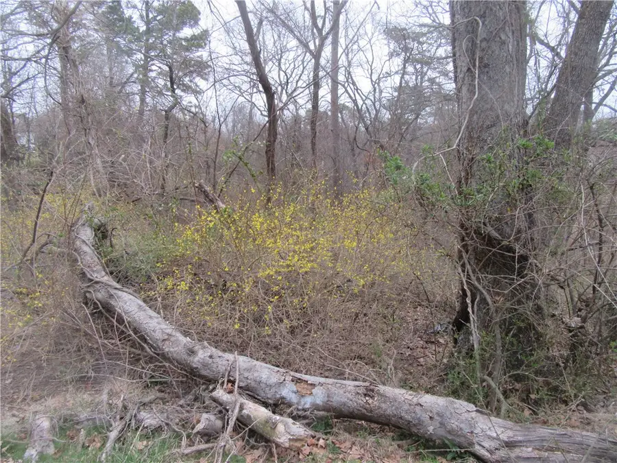 Paxos Street, Eureka Springs, AR 72632 - #3