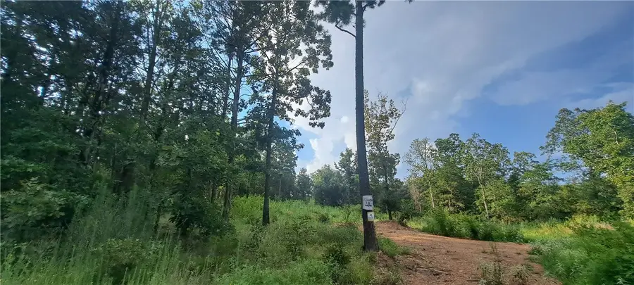 5B TBD Spring Creek Lane, Cecil, AR 72930 - #2