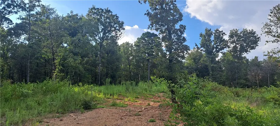 5B TBD Spring Creek Lane, Cecil, AR 72930 - #3