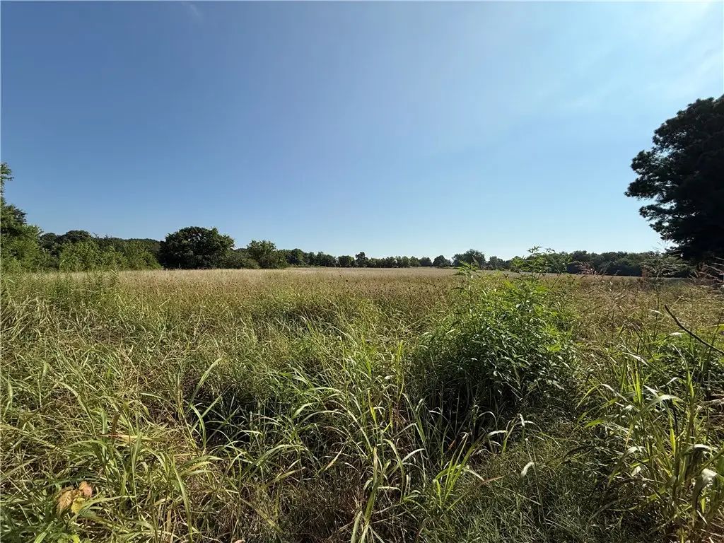 TBD W Pridemore, Lincoln, AR 72744 - #1