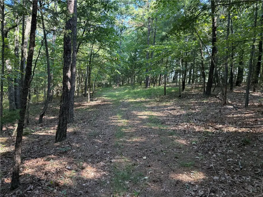 000 Tract B County Road 516, Berryville, AR 72616 - #2