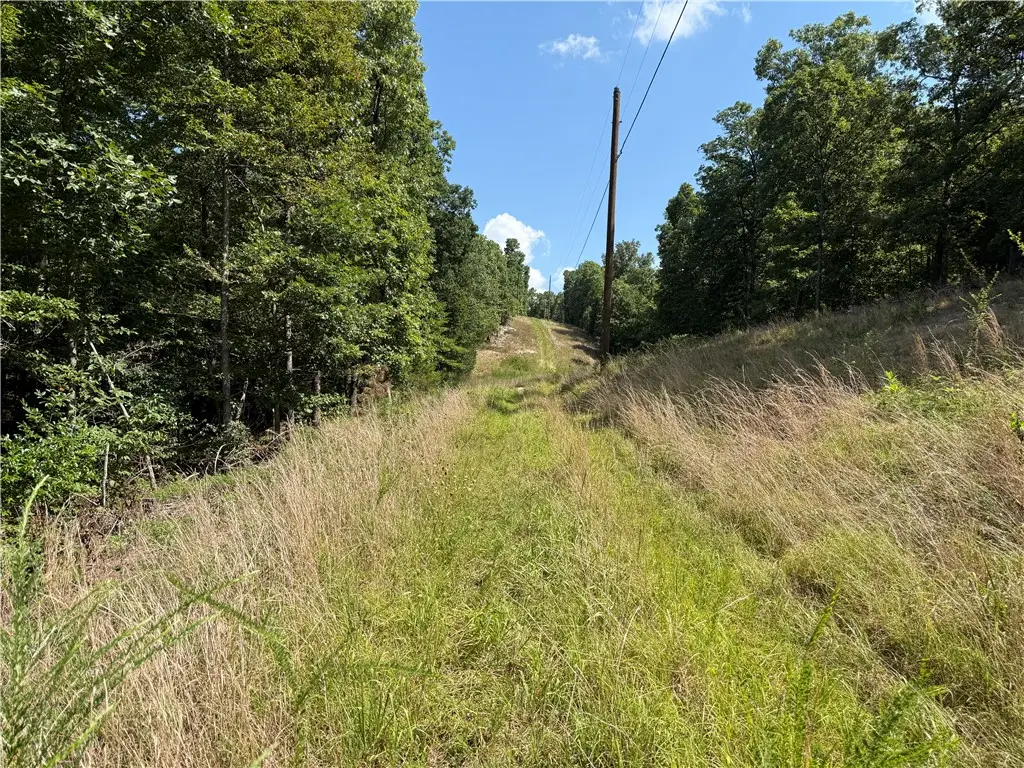 000 Tract D County Rd 516, Berryville, AR 72616 - #1