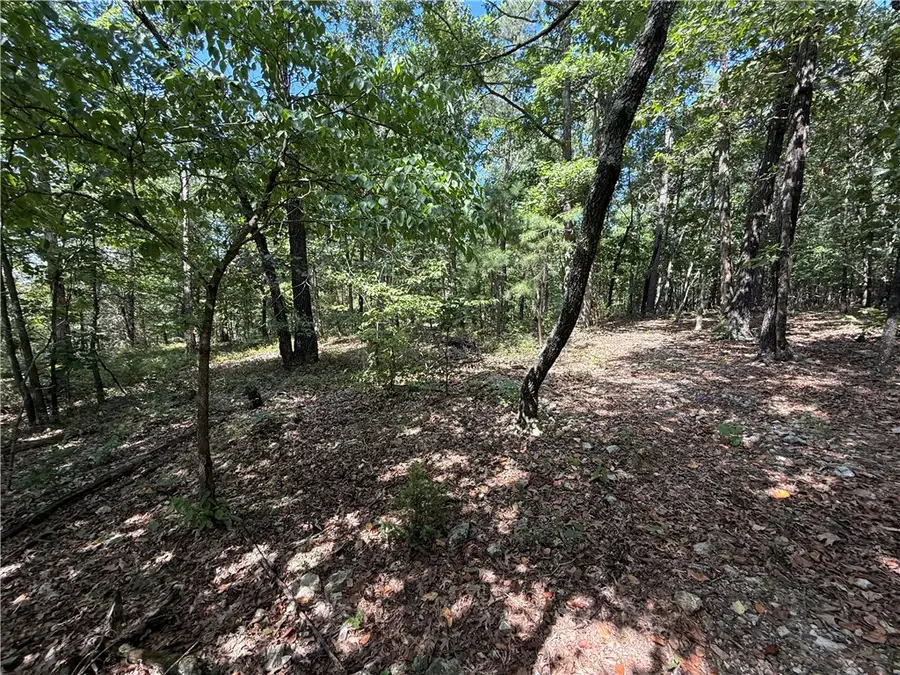 000 Tract D County Rd 516, Berryville, AR 72616 - #3