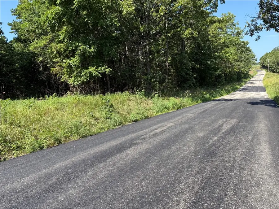 000 Tract E County Road 516, Berryville, AR 72616 - #2