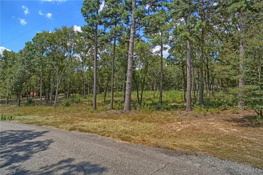 257 Cagle Rock Circle, Russellville, AR 72802 - #3