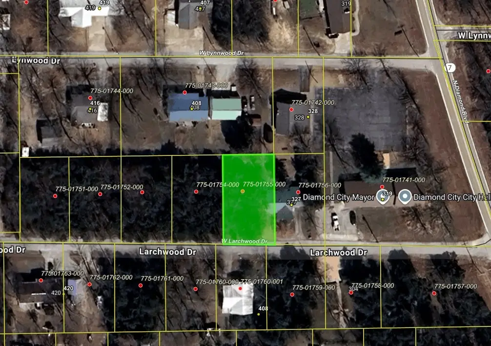 775-01755-000 Larchwood Drive, Diamond City, AR 72644 - #1