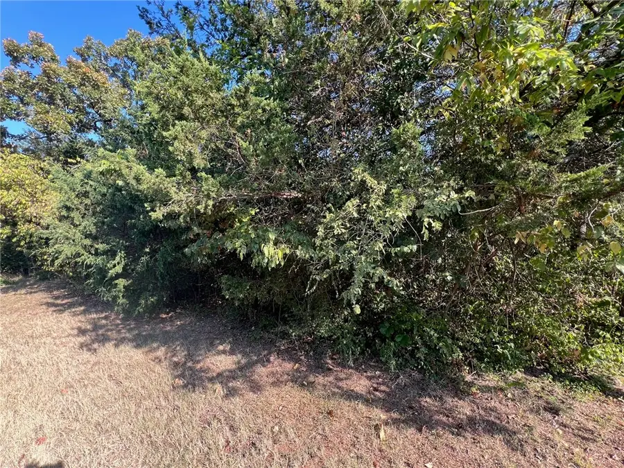 775-01755-000 Larchwood Drive, Diamond City, AR 72644 - #2