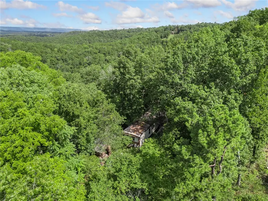 267B Nc 3320, Marble Falls, AR 72648 - #2