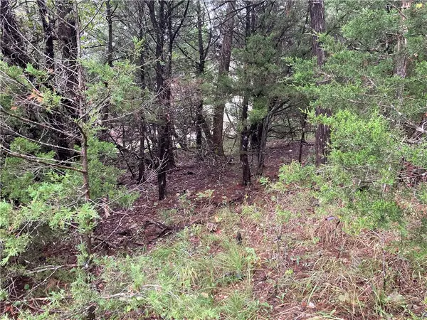 TBD Hillside Drive, Holiday Island, AR 72631
