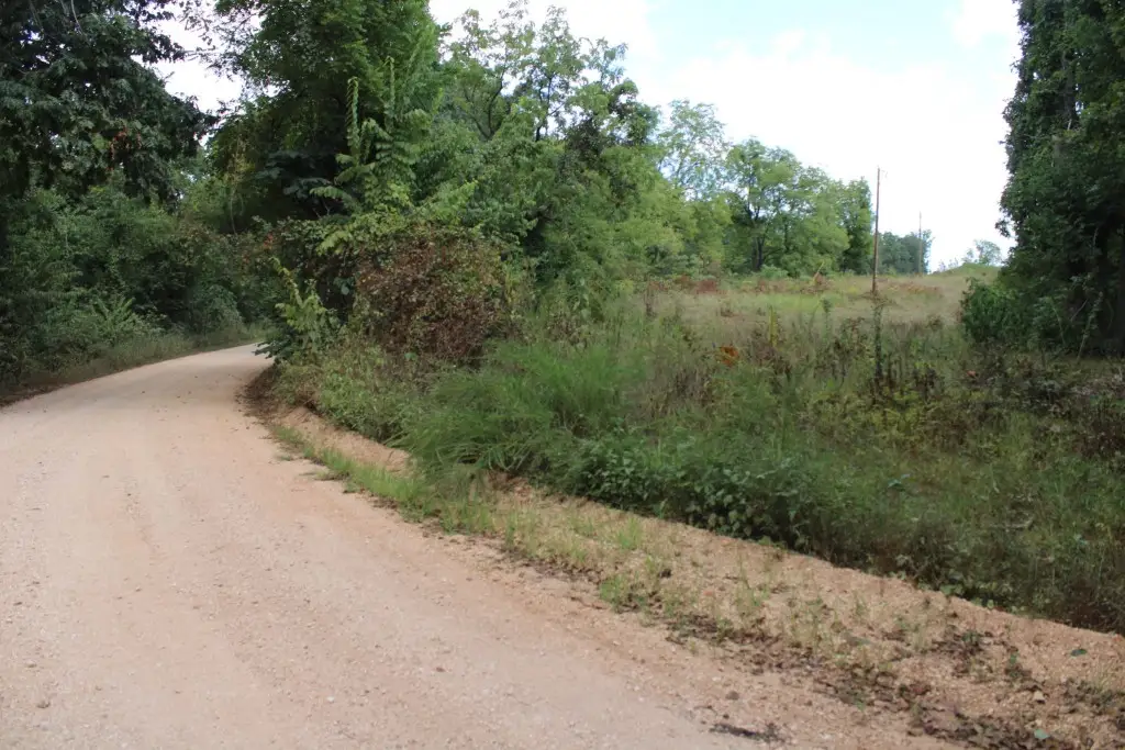 Tomahawk Slab Road, Saint Joe, AR 72675 - #1