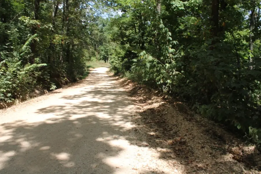Tomahawk Slab Road, Saint Joe, AR 72675 - #2