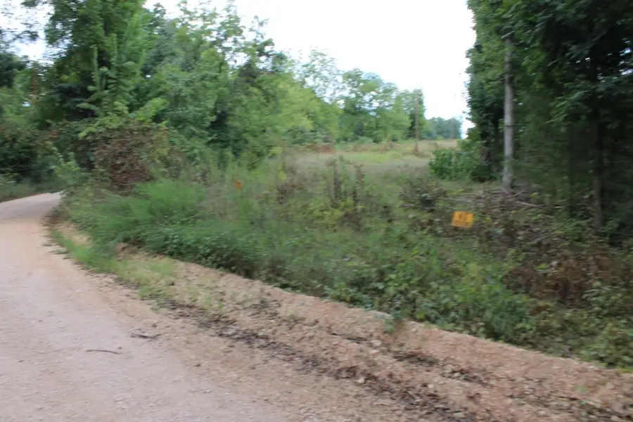 Tomahawk Slab Road, Saint Joe, AR 72675 - #3